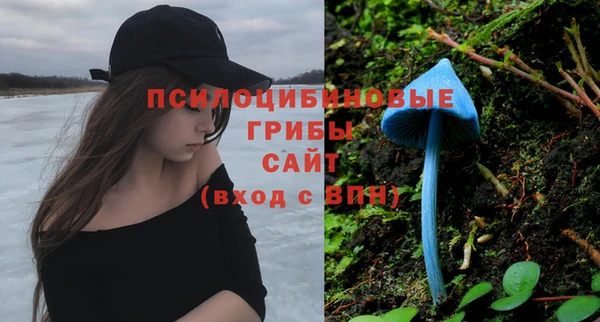 МДМА Заводоуковск
