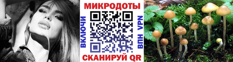 Галлюциногенные грибы прущие грибы  Купить где  Кизел 