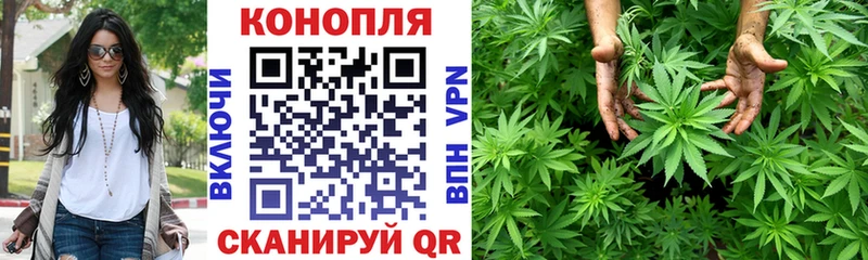 Купить где Кизел Канабис LSD WEED